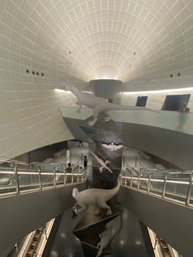 福井県立恐竜博物館に投稿された画像（2025/6/28）