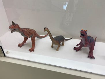 福井県立恐竜博物館に投稿された画像（2025/6/28）