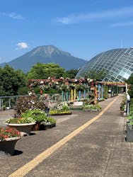 とっとり花回廊に投稿された画像（2025/6/28）