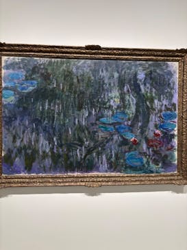 モネ 睡蓮のとき（豊田会場）に投稿された画像（2025/6/28）