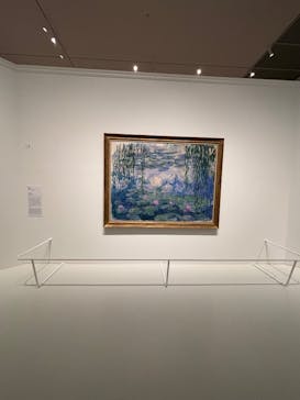 モネ 睡蓮のとき（豊田会場）に投稿された画像（2025/6/28）