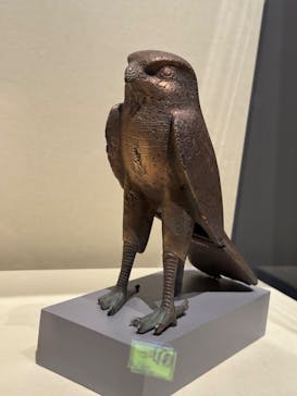 ブルックリン博物館所蔵　特別展　古代エジプト（豊田会場）に投稿された画像（2025/6/28）