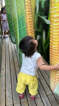 鈴鹿サーキットに投稿された画像（2025/6/28）