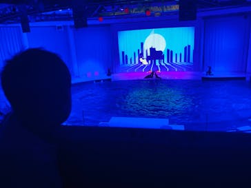 アクアワールド茨城県大洗水族館に投稿された画像（2025/6/28）