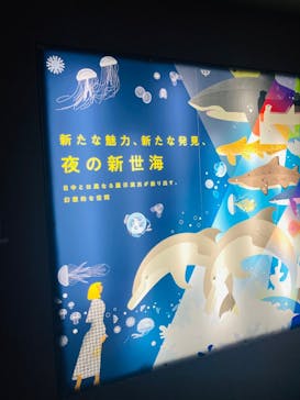 アクアワールド茨城県大洗水族館に投稿された画像（2025/6/28）