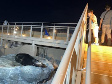 アクアワールド茨城県大洗水族館に投稿された画像（2025/6/28）