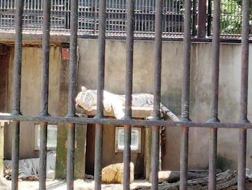 宇都宮動物園に投稿された画像（2025/6/28）