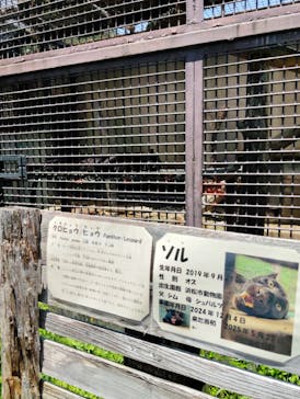宇都宮動物園に投稿された画像（2025/6/28）