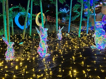 伊豆高原グランイルミに投稿された画像（2025/6/28）