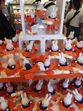 ハウステンボスに投稿された画像（2025/6/28）