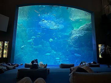 新江ノ島水族館に投稿された画像（2025/6/28）