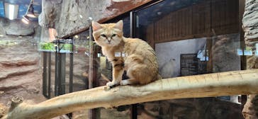 那須どうぶつ王国に投稿された画像（2025/6/28）