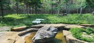 那須どうぶつ王国に投稿された画像（2025/6/28）