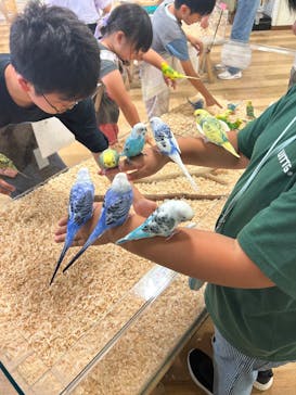 いきもの探検隊湘南に投稿された画像（2025/6/29）