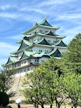 名古屋城に投稿された画像（2025/6/29）