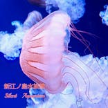 新江ノ島水族館に投稿された画像（2025/6/29）