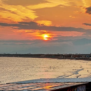 新江ノ島水族館に投稿された画像（2025/6/29）