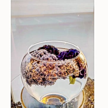 新江ノ島水族館に投稿された画像（2025/6/29）