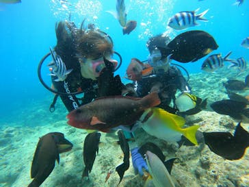 武藤潜水に投稿された画像（2025/6/29）