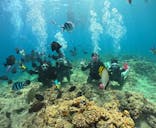 武藤潜水に投稿された画像（2025/6/29）