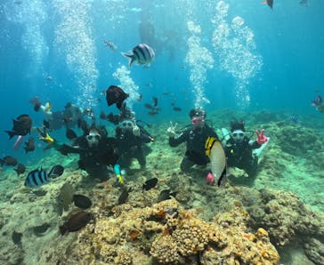 武藤潜水に投稿された画像（2025/6/29）