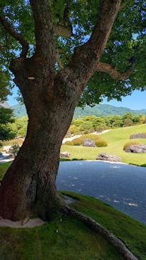 足立美術館に投稿された画像（2025/6/29）