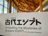 ブルックリン博物館所蔵　特別展　古代エジプト（豊田会場）に投稿された画像（2025/6/29）