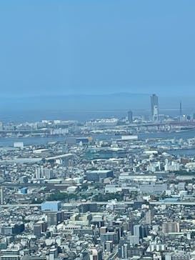 ハルカス300(展望台)に投稿された画像（2025/6/29）