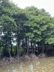 冒険島　沖縄総合アウトドアツアー専門店に投稿された画像（2025/6/29）