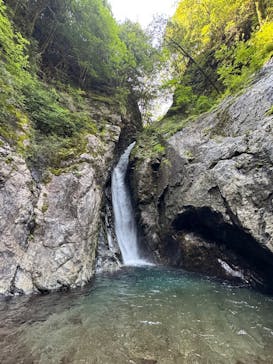 Verde Odai（ベルデオオダイ）に投稿された画像（2025/6/29）