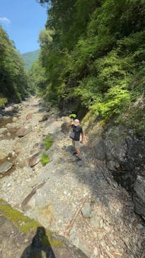 Verde Odai（ベルデオオダイ）に投稿された画像（2025/6/29）