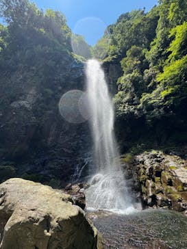 Verde Odai（ベルデオオダイ）に投稿された画像（2025/6/29）