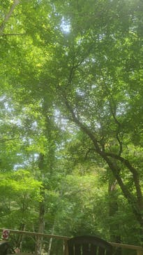 モダン湯治 おんりーゆーに投稿された画像（2025/6/29）