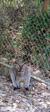 こども動物自然公園（埼玉県公園緑地協会）に投稿された画像（2025/6/29）