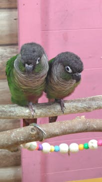 いきもの探検隊上尾に投稿された画像（2025/6/29）