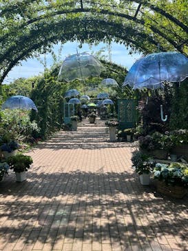 横浜イングリッシュガーデンに投稿された画像（2025/6/29）