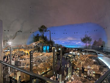 福井県立恐竜博物館に投稿された画像（2025/6/29）