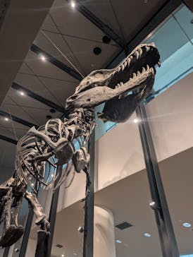 福井県立恐竜博物館に投稿された画像（2025/6/29）