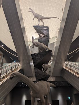 福井県立恐竜博物館に投稿された画像（2025/6/29）