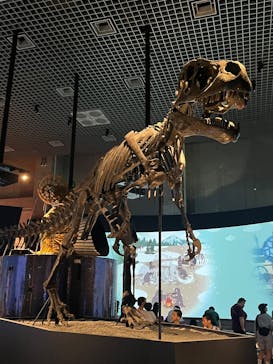 国立科学博物館に投稿された画像（2025/6/29）