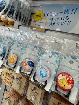 新江ノ島水族館に投稿された画像（2025/6/29）