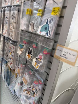 新江ノ島水族館に投稿された画像（2025/6/29）