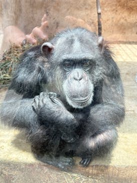 伊豆アニマルキングダムに投稿された画像（2025/6/29）