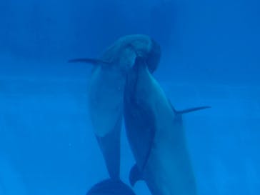 名古屋港水族館に投稿された画像（2025/6/29）