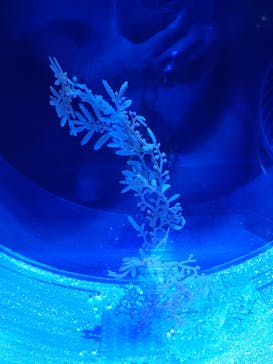 名古屋港水族館に投稿された画像（2025/6/29）