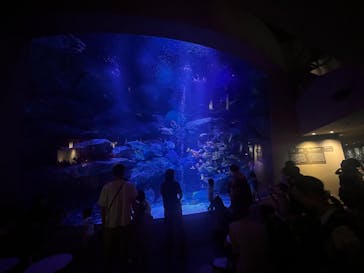 すみだ水族館に投稿された画像（2025/6/29）