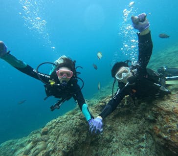 武藤潜水に投稿された画像（2025/6/29）