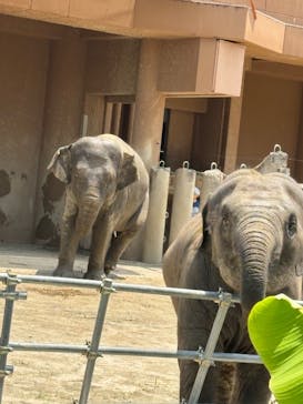 名古屋市東山動植物園に投稿された画像（2025/6/29）