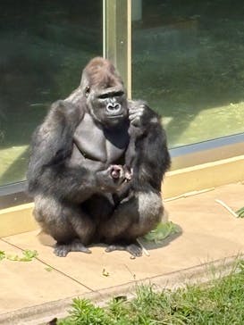 名古屋市東山動植物園に投稿された画像（2025/6/29）