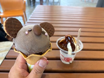 名古屋市東山動植物園に投稿された画像（2025/6/29）